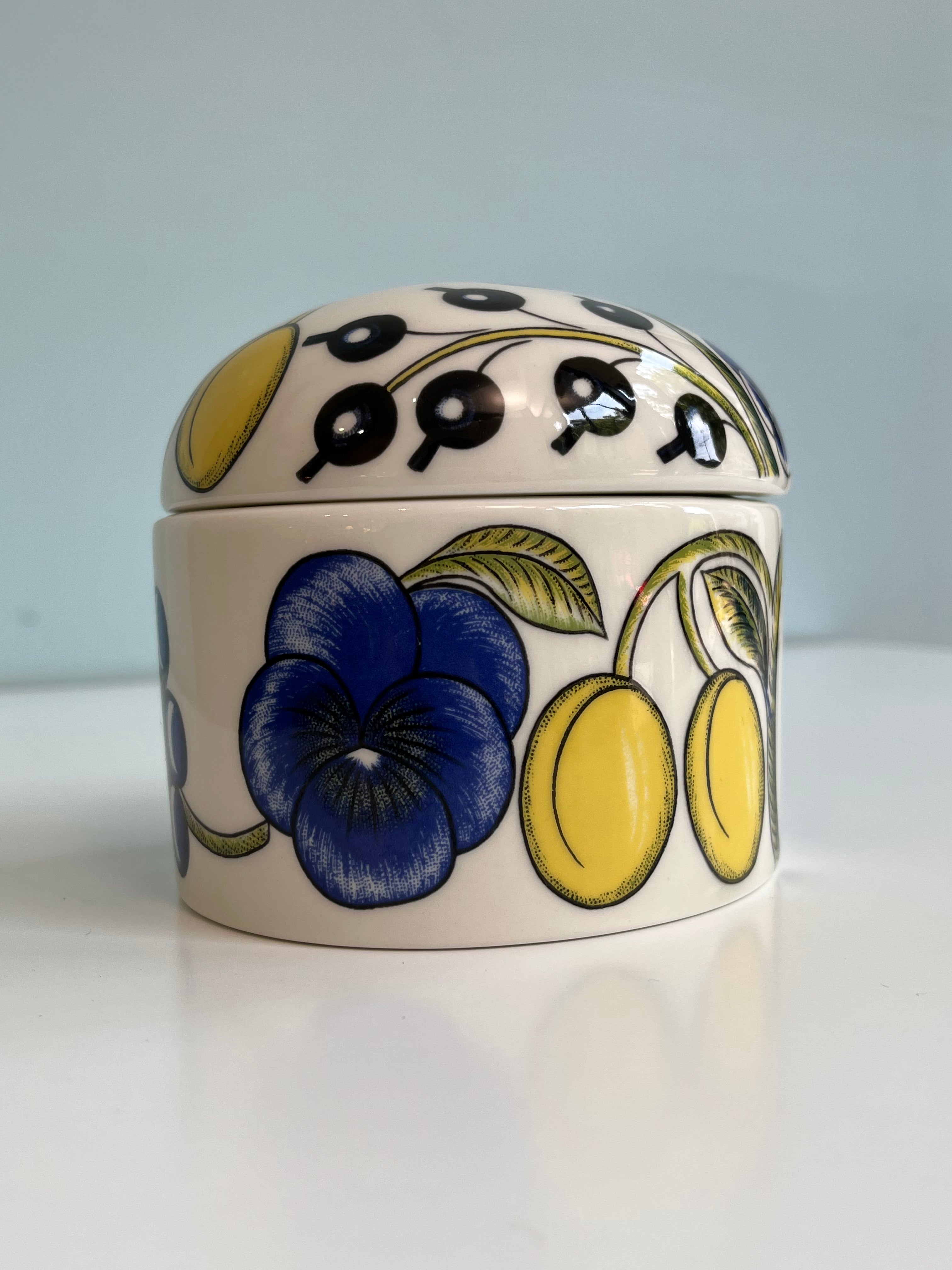 アラビア パラティッシ ジャー 蓋付き カラー キャニスター 北欧食器