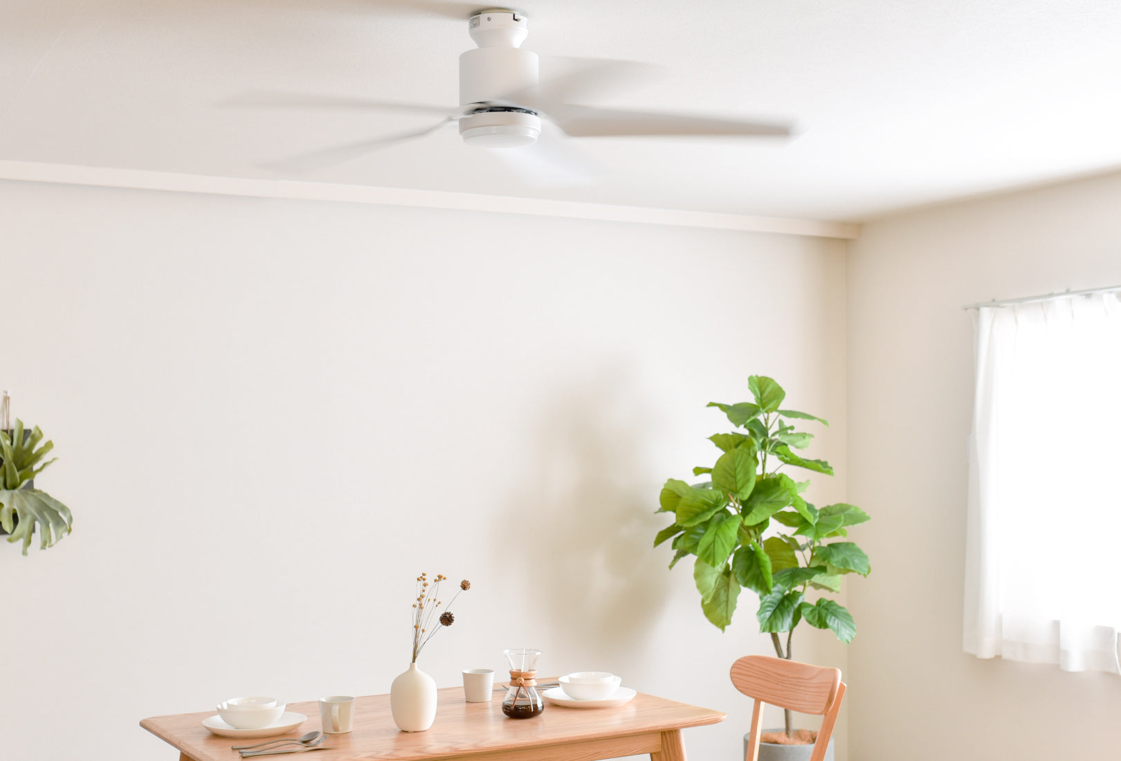 あす着] シーリングファンライト 傾斜天井対応 リモコン付 DCモーター