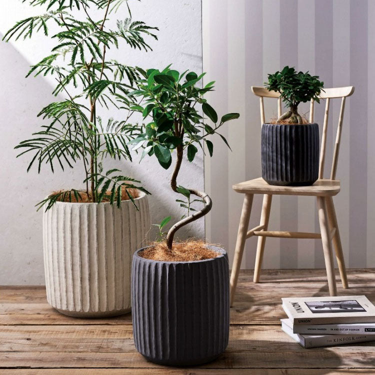 UN256-295 – 鉢人