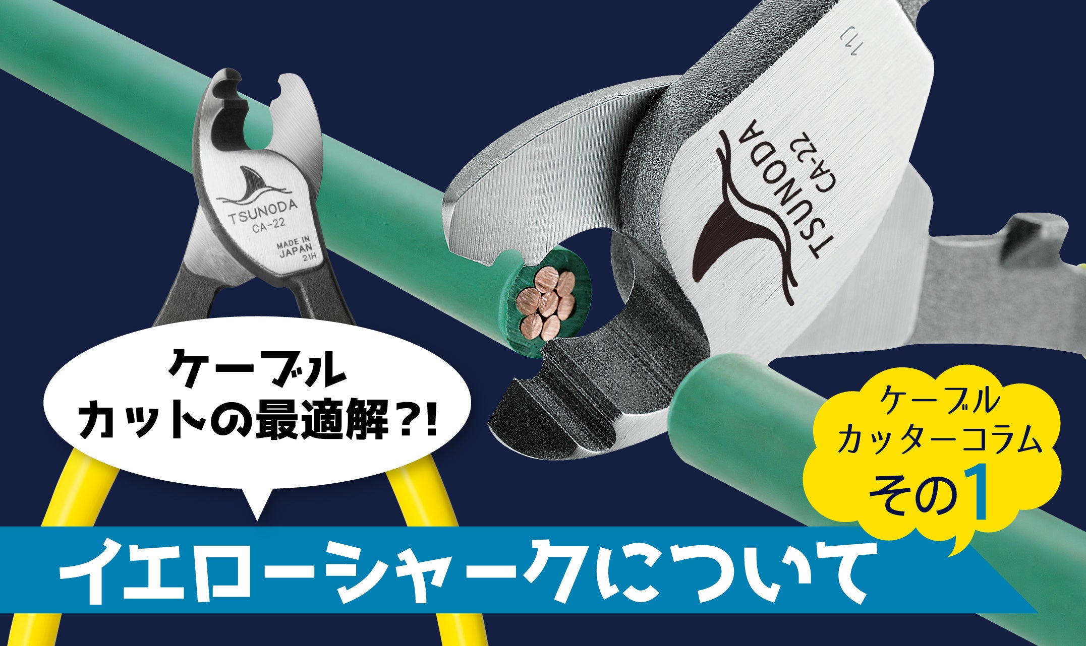 イエローシャークの秘密 その1 – ツノチョク