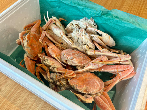 北海道産】オオズワイガニ 2kg（冷凍）販売開始！ – かねこ道具店