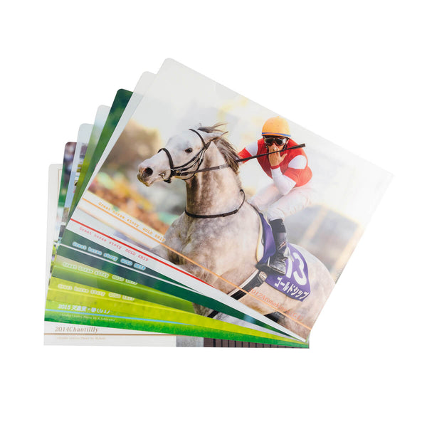 キャンバスボード ゴールドシップ winter - 競馬グッズの通販サイト