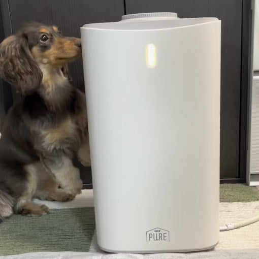 Wの消臭としっかり集毛 PURE PET AIR CLEANER | PURE（ピュア）公式