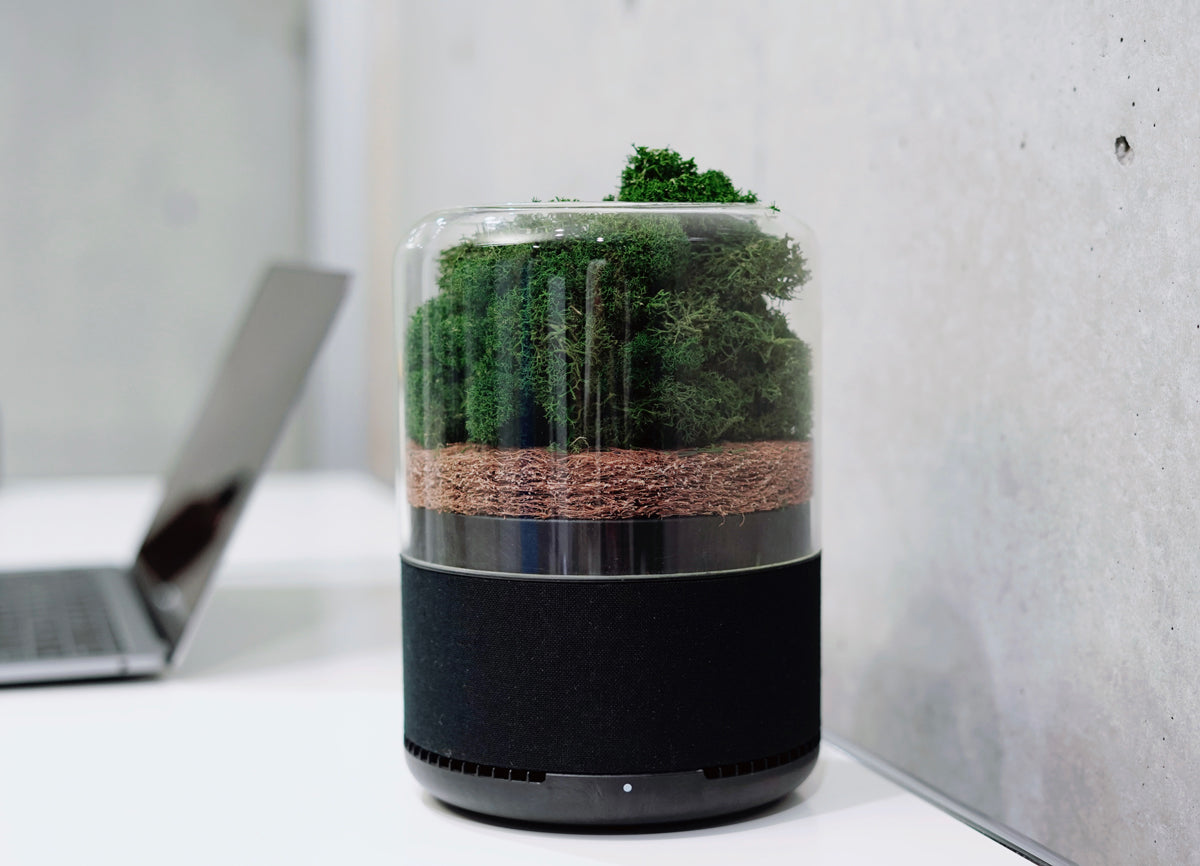 上に乗るのは本物のコケ！エコフレンドリーな空気清浄機「briiv