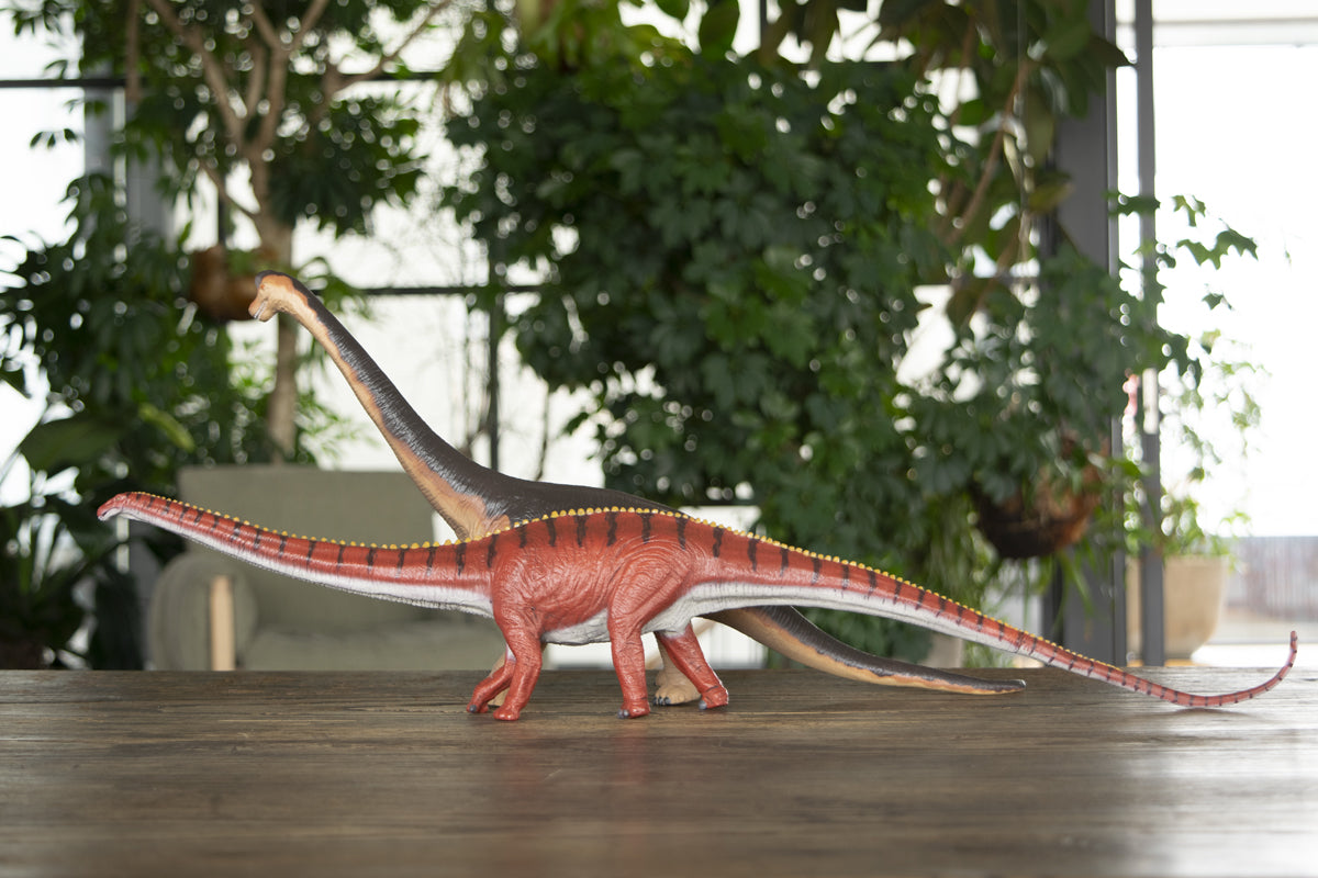 Feeling：新商品と並べてみた。ディプロとブラキオ – Favorite