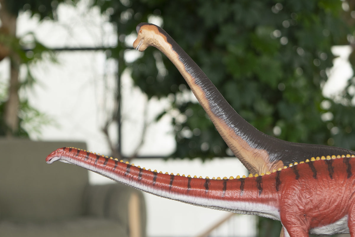 Feeling：新商品と並べてみた。ディプロとブラキオ – Favorite