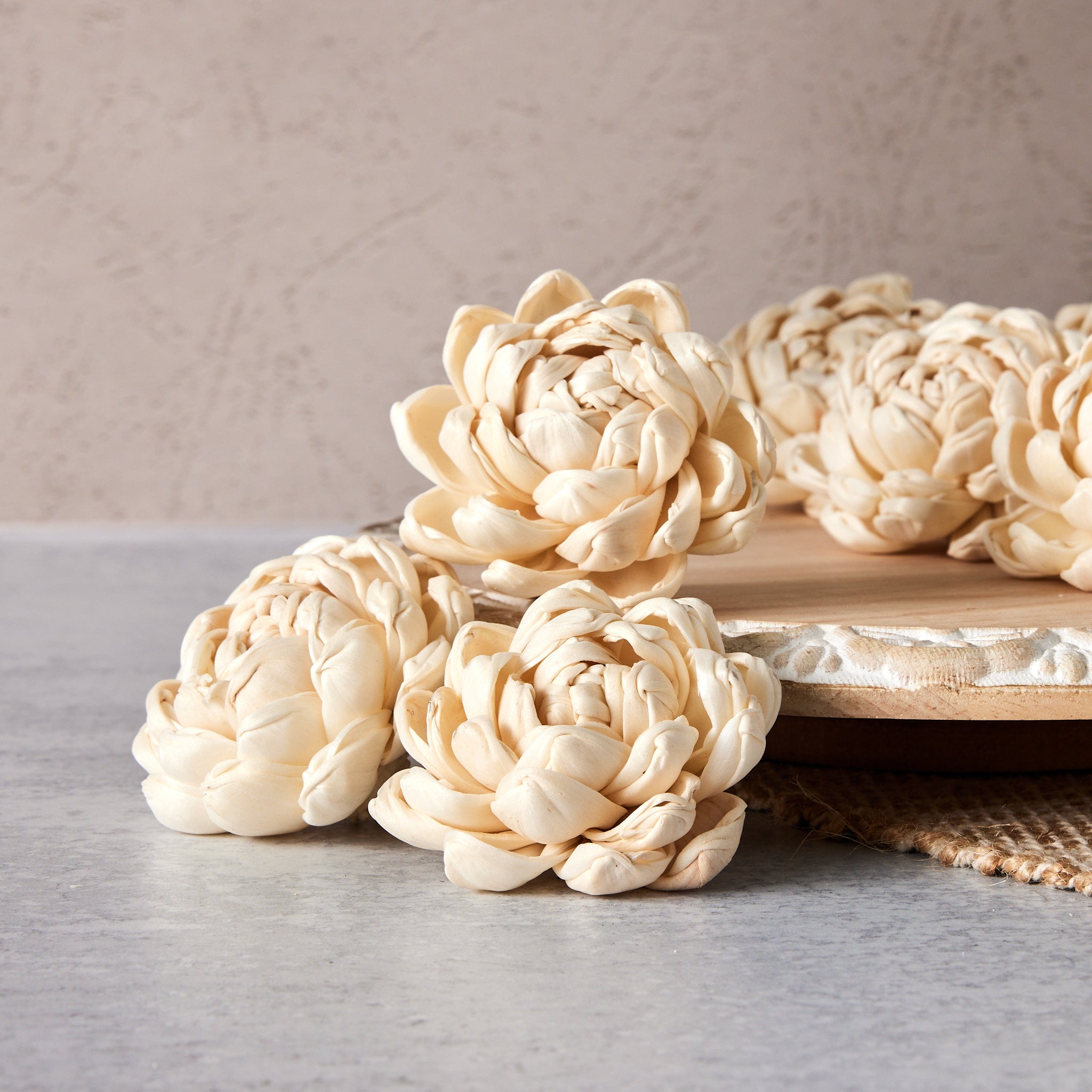 Sola Flowers - Dazzle - set of 12 - 2.5 inches - Oh! You're Lovely