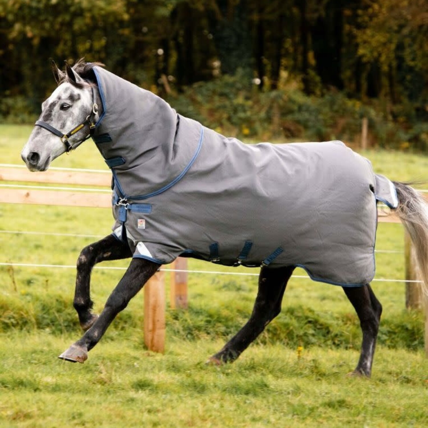 Rhino Hexstop Plus Turnout (0g Light) - Equine Essentials Tack