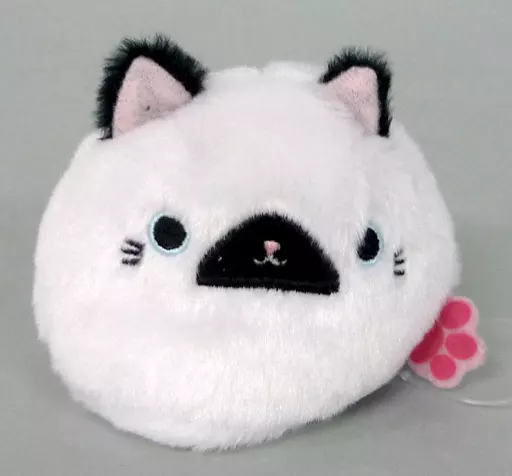 ねこだんご　ぽいんてっど 駿河屋 -<中古>ねこだんご(ぽいんてっど) ぬいぐるみ 「ねこだんご