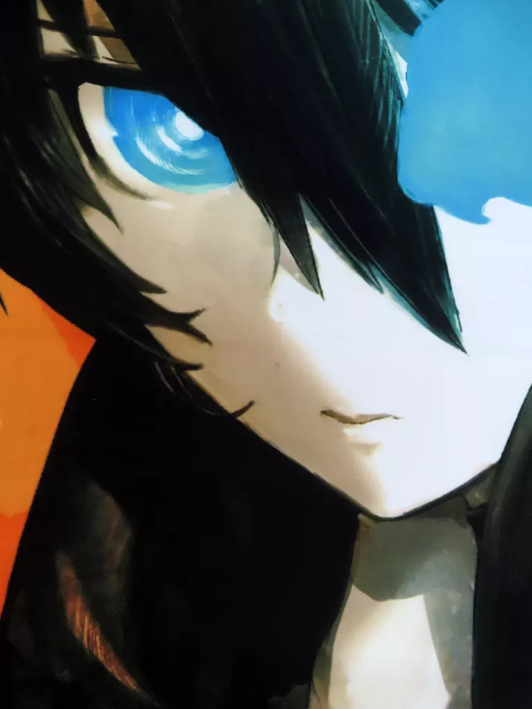 ブラック★ロックシューター　THE GAME ゲーマーズ限定版タペストリー 駿河屋 -<中古>ブラック☆ロックシューター 描き下ろし特大