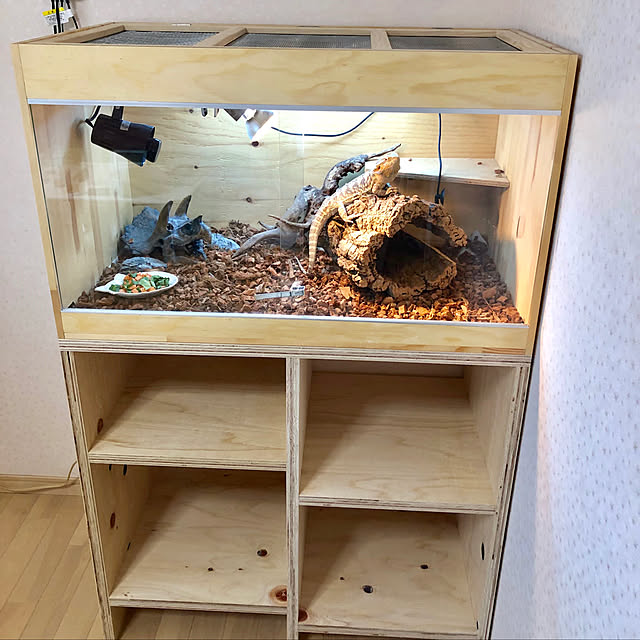 爬虫類ケージDIY/爬虫類のいる暮らし/木製ケージ/自作ケージ/爬虫類