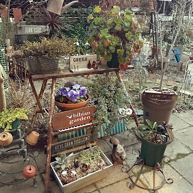 ジャンクガーデン サビ脚立のインテリア実例 ｜ RoomClip（ルーム