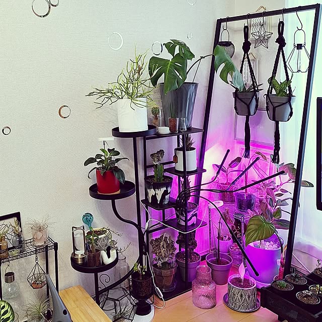 IKEA 植物育成ライトのおすすめ商品とおしゃれな実例 ｜ RoomClip