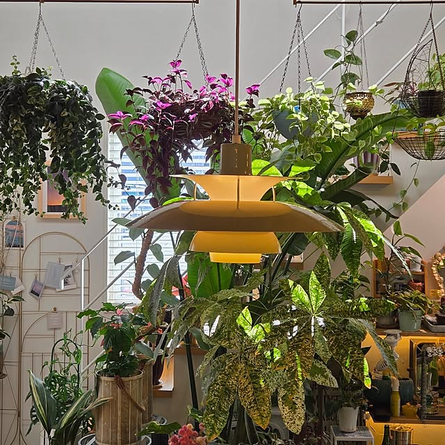 ルイスポールセン ワサビグリーンの商品を使ったおしゃれなインテリア