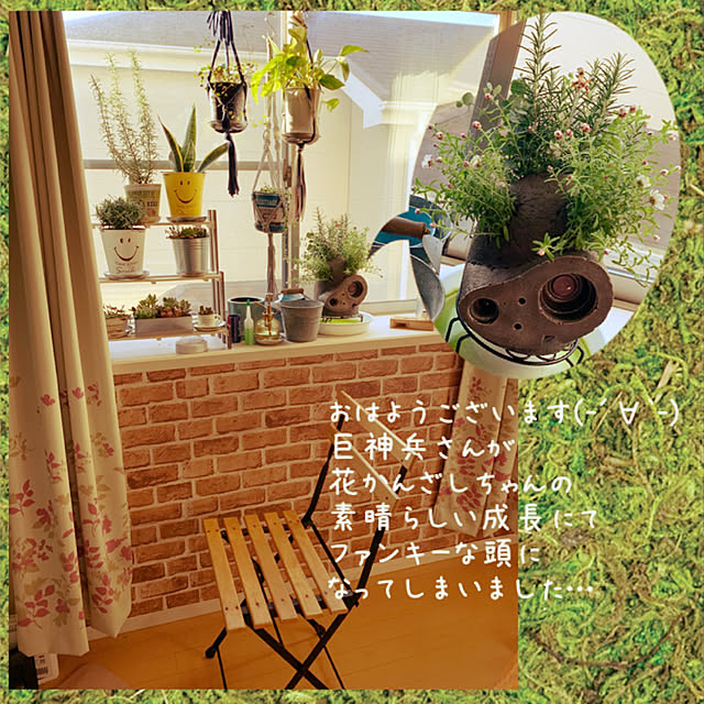 巨神兵プランター☆のおすすめ商品とおしゃれな実例 ｜ RoomClip