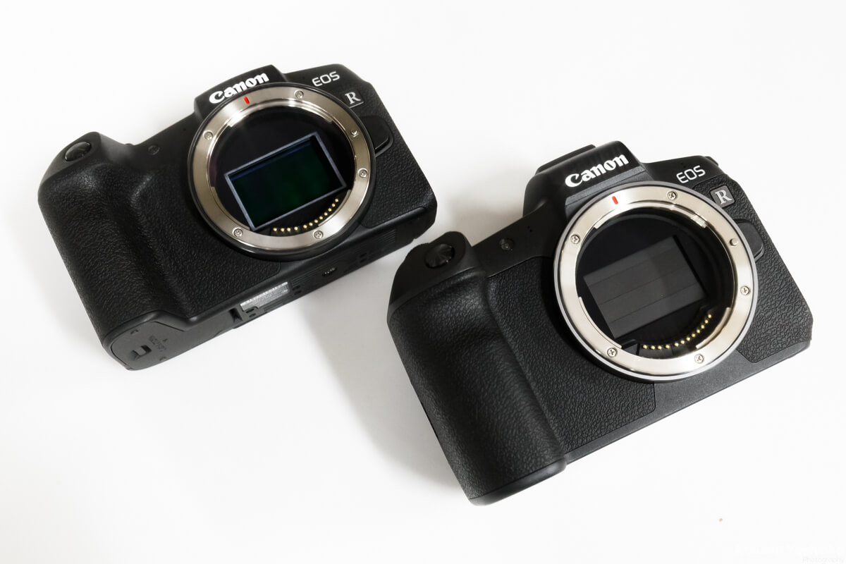 注目のフルサイズミラーレス「EOS R」と「EOS RP」の7つの違いを徹底