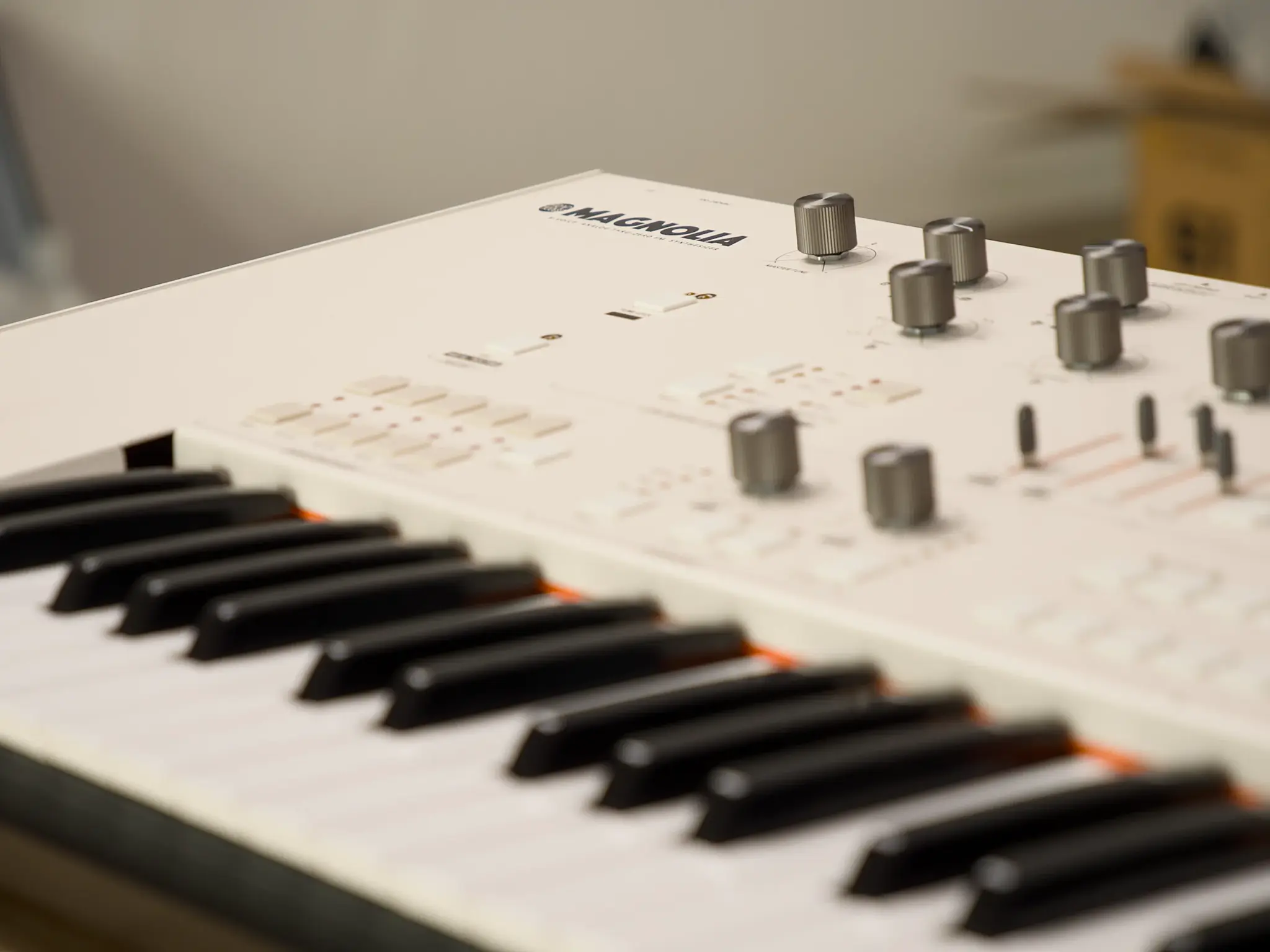 Frap Tools Magnolia - Turnlab