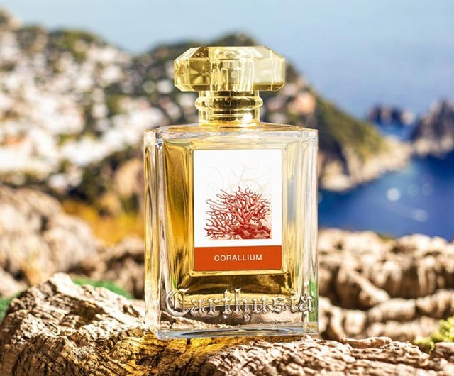 台湾 【在庫限り】イタリア カルトゥージア｜レッドコーラル