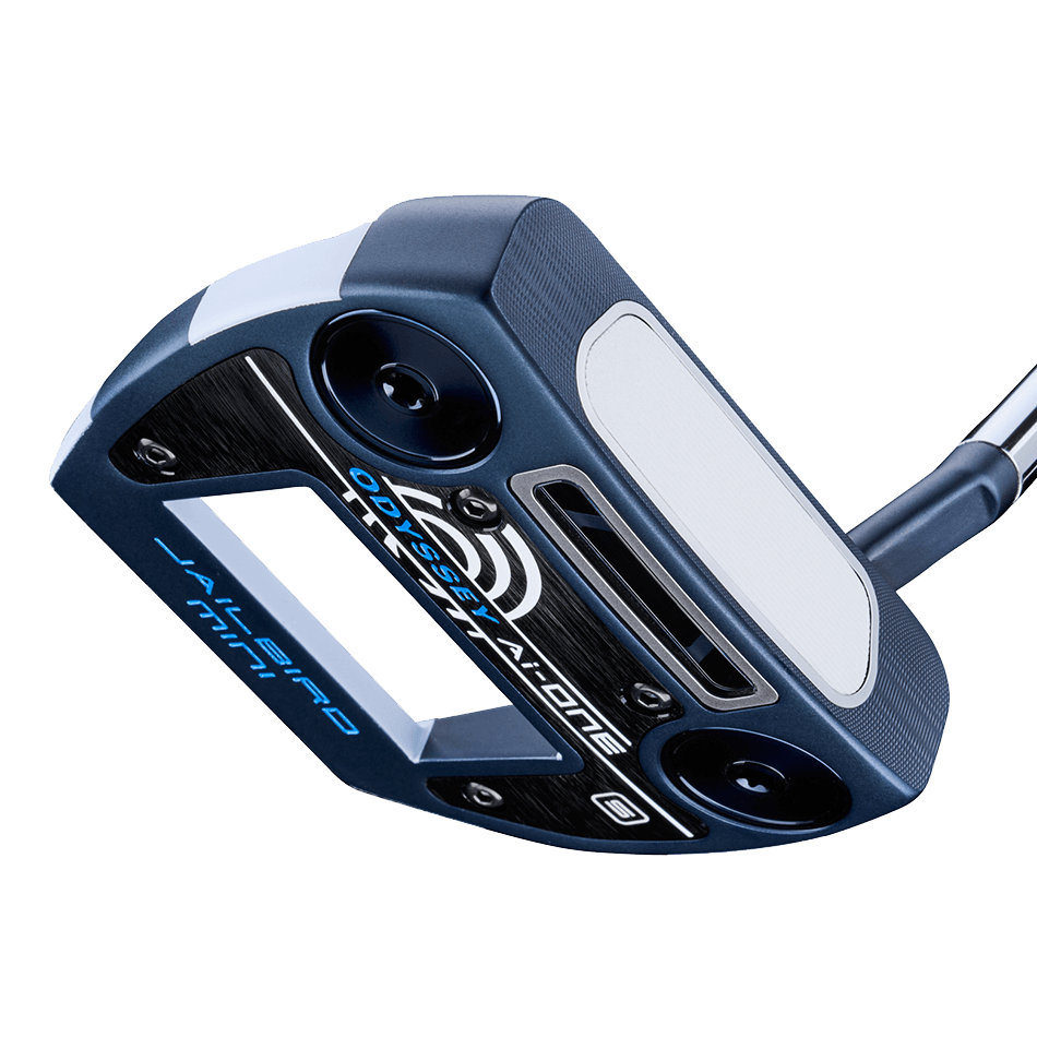 Ai-ONE JAILBIRD MINI Sパター