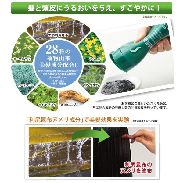 利尻ヘアカラートリートメント お得な白髪染め4点セット！敏感肌用 無