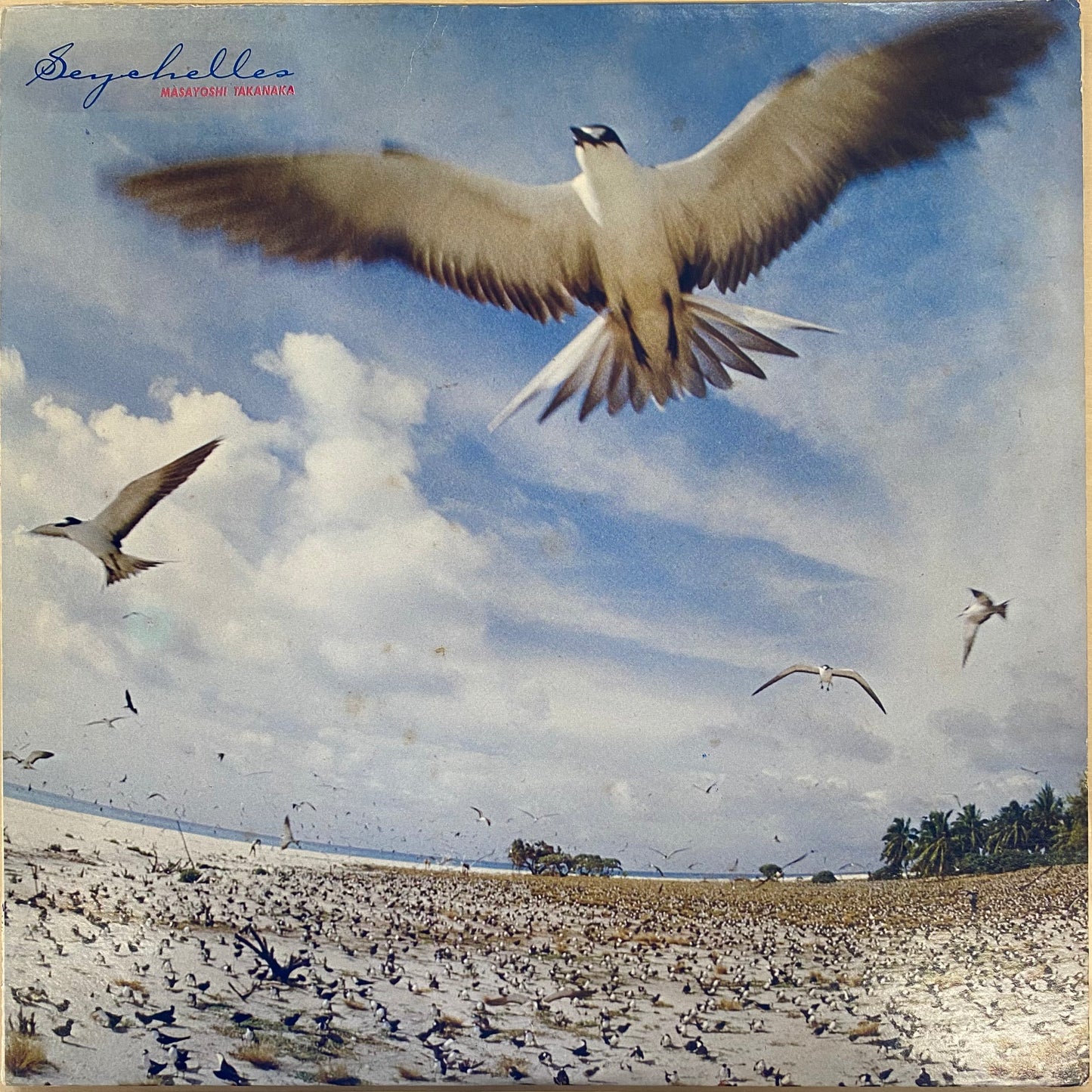 USED】高中正義 - Seychelles (LP) – CELLAR RECORDS