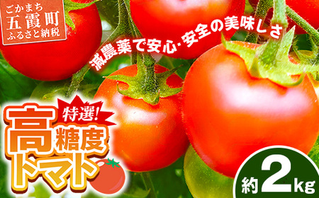 山中トマト農園がお届けする！五霞町の特選 高糖度トマト 2箱（約2kg