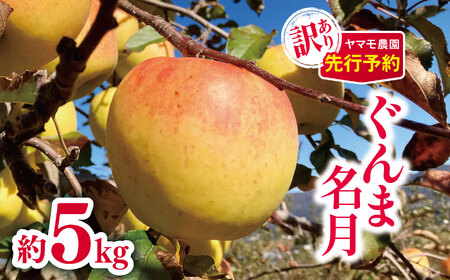 訳あり ぐんま名月約5kg 【2026年先行予約】 | ヤマモ農園 | 長野県松