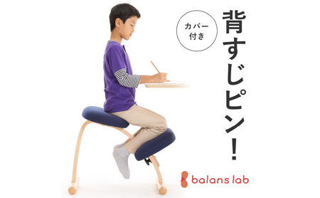椅子 バランスイージー カバー付き 選べる フレーム カラー 姿勢矯正