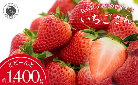 眺めてうっとり、かじって甘い！】JAの「いちごさん」240g×6パック【JA