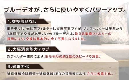 空気清浄機 ブルーデオ S型 日本アトピー協会推薦品 空気消臭除菌 消臭