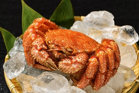 高評価5.0 活ゆで毛蟹 2尾で700～770g【冷蔵】カニ 毛ガニ 蟹 北海道か
