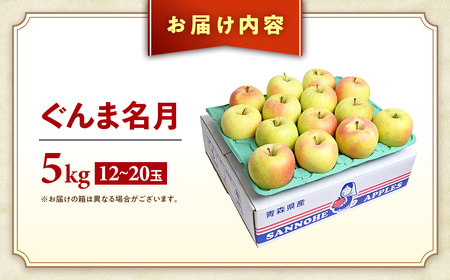 先行予約】2026年発送 青森県産りんご ぐんま名月 約5kg りんご | 青森