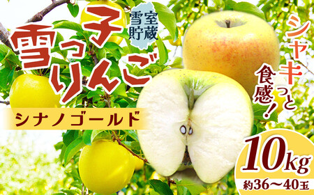 数量限定 2026年 4月発送 予約受付 】 雪っ子 りんご 熟成 シナノ