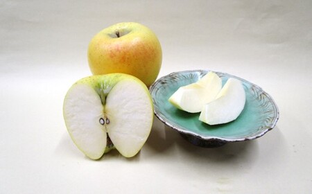 数量限定 2026年 4月発送 予約受付 】 雪っ子 りんご 熟成 シナノ