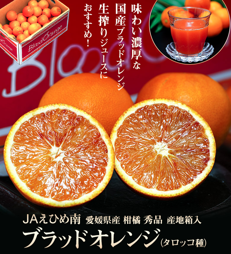 JAえひめ南 ブラッドオレンジ （タロッコ種） 愛媛県産 柑橘 L～2L