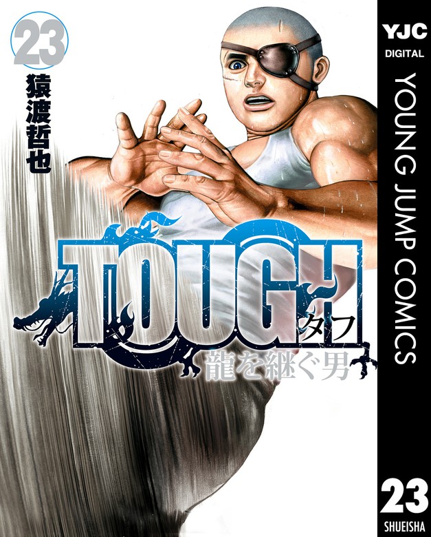 高校鉄拳伝タフ1〜42巻 TOUGHタフ1〜39巻 おとん1