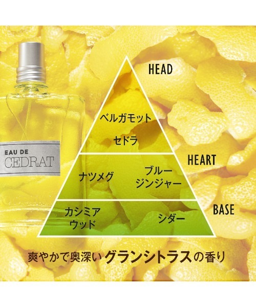 L'OCCITANE（ロクシタン）の「メンズギフトセット セドラ オードトワレ