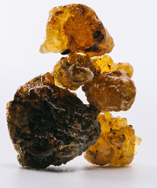 LOEWE Perfumes（ロエベ パルファム）の「オードゥ パルファン ”ロエベ