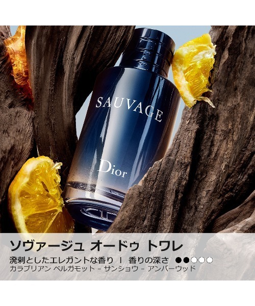 Dior SAUVAGE ディオール ソヴァージュ オードゥトワレ100ml&9