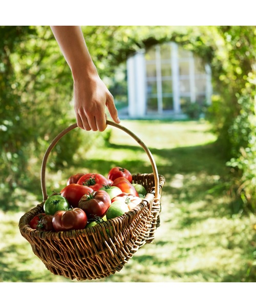 レプリカ オードトワレ フロム ザ ガーデン (30mL)（香水）｜Maison