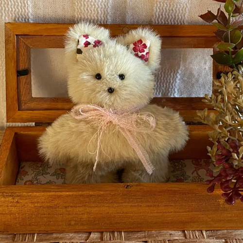 ハンドメイドぬいぐるみKiki薄緑色の猫ちゃん ☆アードドル 02