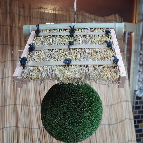 杉玉 40cm 吉野杉 つくりたて（杉玉のみ） その他インテリア雑貨 萩原