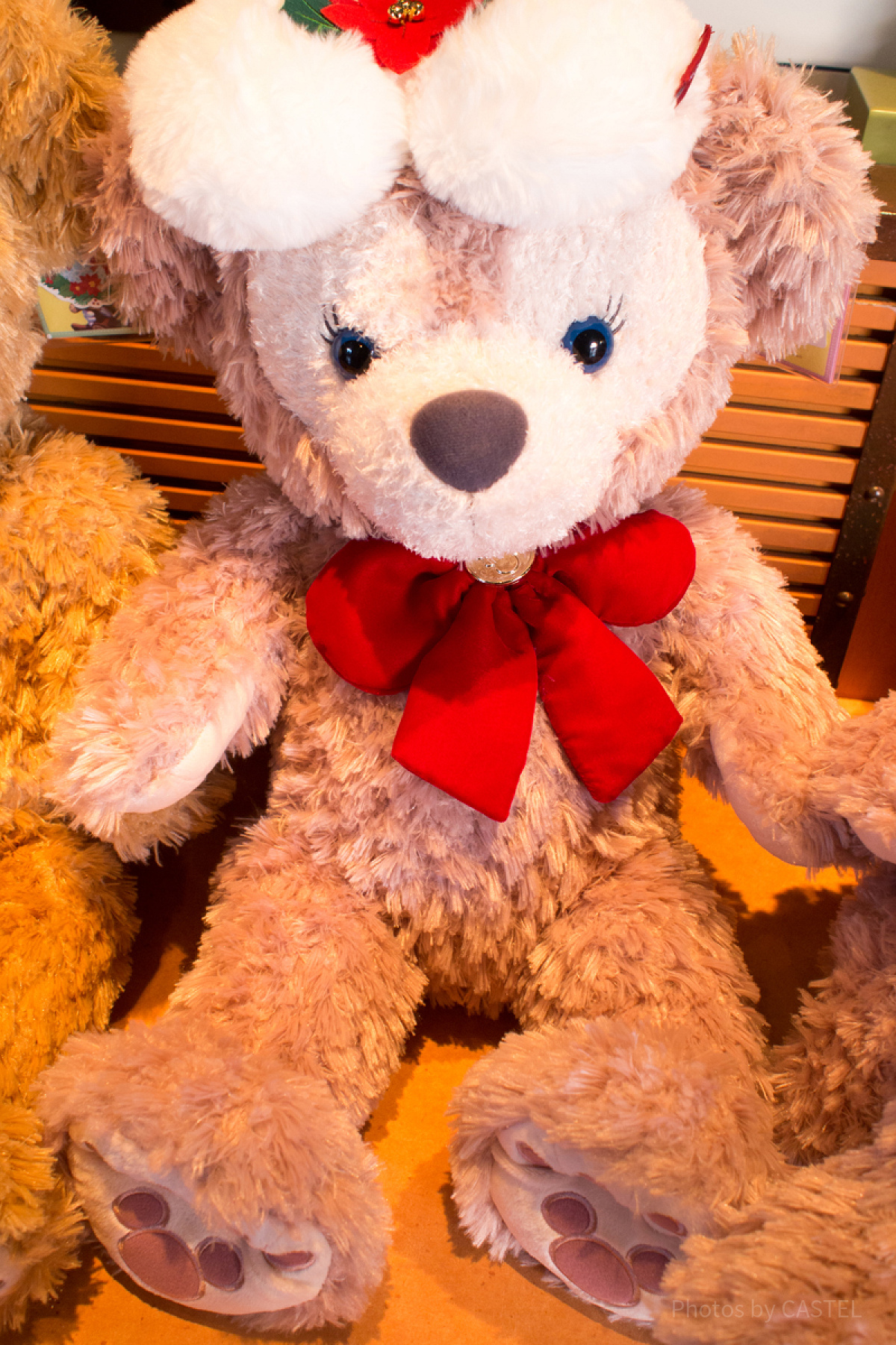 シェリーメイMサイズぬいぐるみ（クリスマス限定）| キャステル