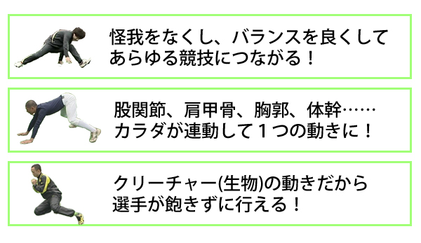クリーチャートレーニングDVD～生き物の動作が、選手の体を活性化