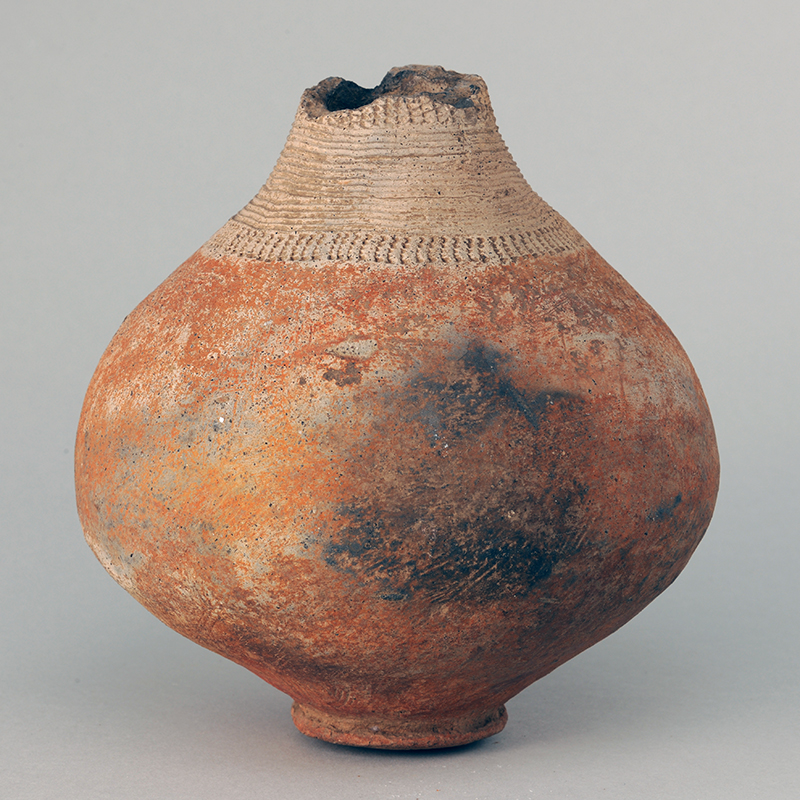 弥生土器からのメッセージ | 神奈川県立歴史博物館