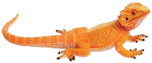 フトアゴヒゲトカゲ フィギュア - カメレオン・ハート