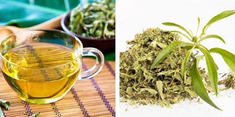 ハーブティー ヴェルヴェーヌ | レモン ヴァーベナ | Herbal Tea