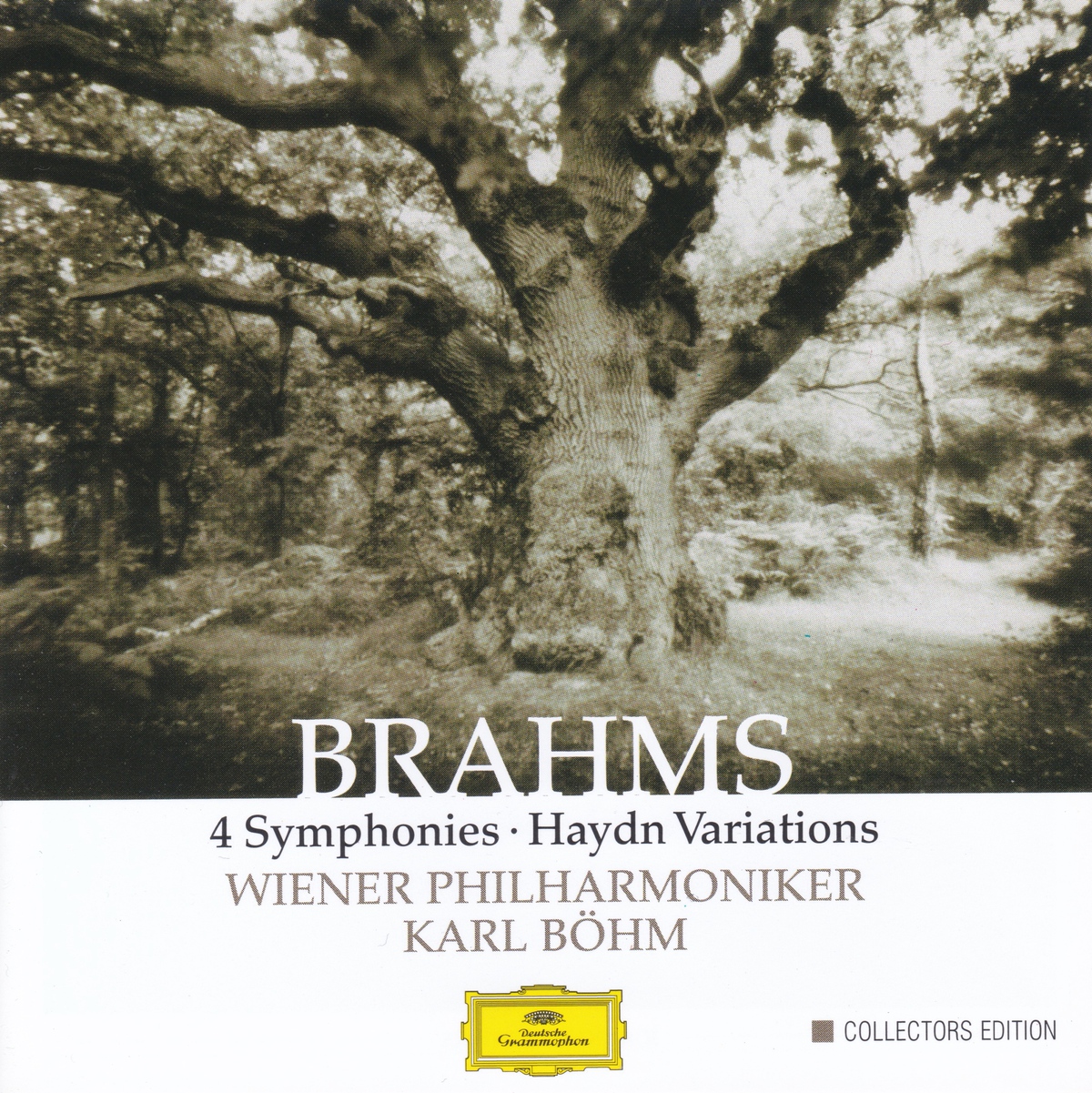 レコードアカデミー賞受賞！ 作品に付かず離れず、香るウィーンフィル