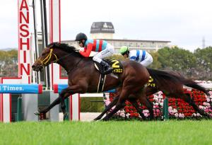 ベリベリホースって何？】戸崎圭太騎手が感激と興奮の余り馬上