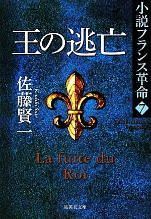 書籍全巻セット・まとめ買い】小説フランス革命(文庫版)全巻セット